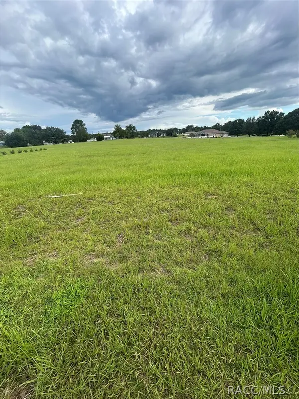 578 E Connecticut Lane, Hernando, FL 34442