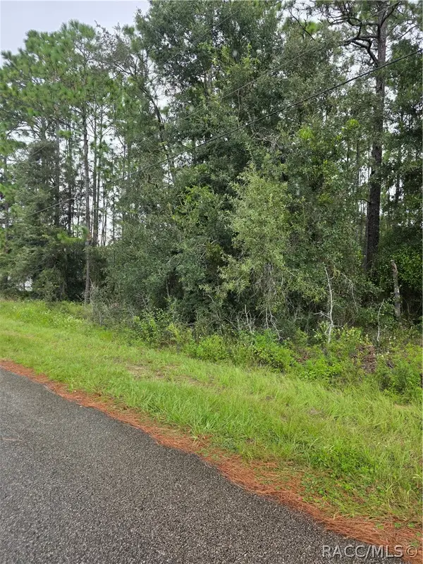 1299 W Tacoma Street, Hernando, FL 34442