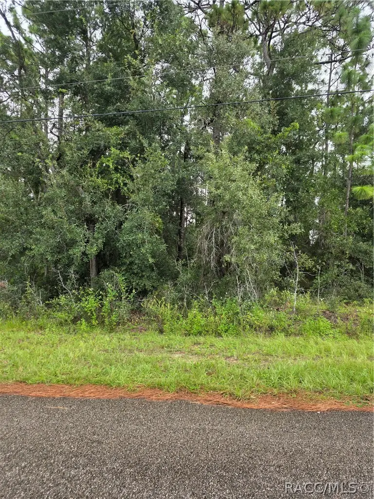 1299 W Tacoma Street, Hernando, FL 34442 - #2