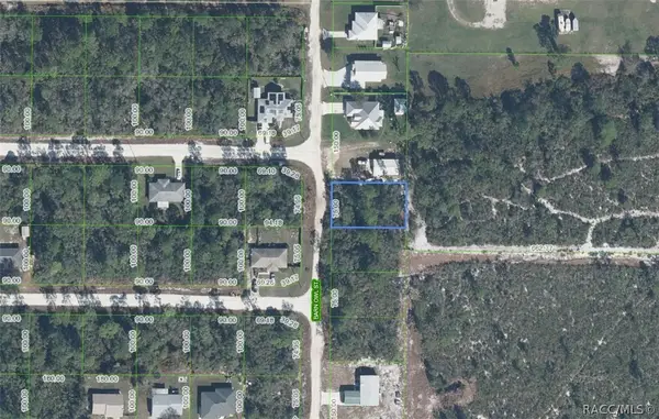 1316 Barn Owl Street, Sebring, FL 33870