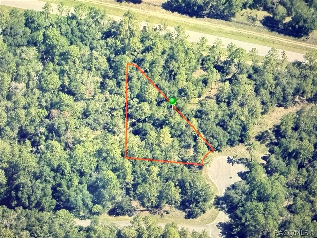 9818 N Lily Drive, Citrus Springs, FL 34434 - #1