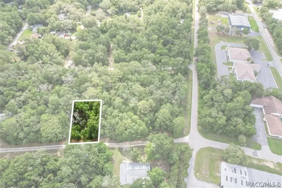 751 S Norma Avenue, Inverness, FL 34453 - #2