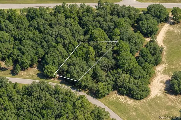 1379 W Hialeah Drive, Dunnellon, FL 34434