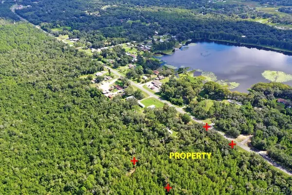 5656 N Carl G Rose Highway, Hernando, FL 34442