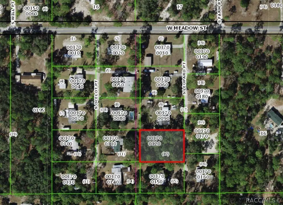 5710 S Leopard Point, Homosassa, FL 34446 - #1