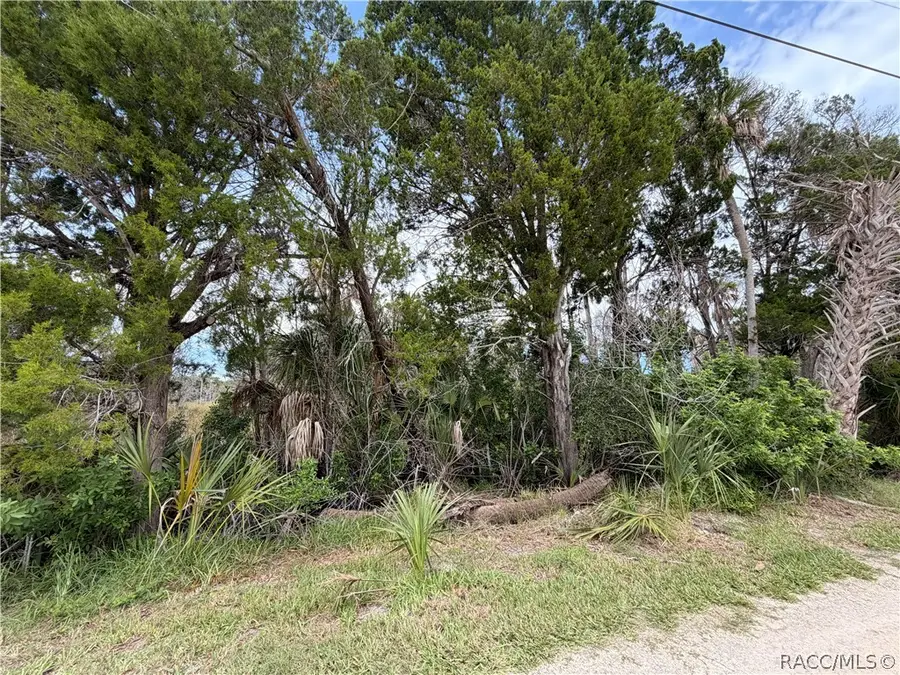 11975 W Waterwood Drive, Crystal River, FL 34429 - #2