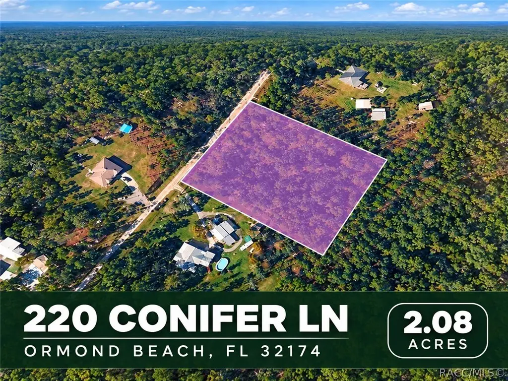220 Conifer Lane, Ormond Beach, FL 32174 - #1