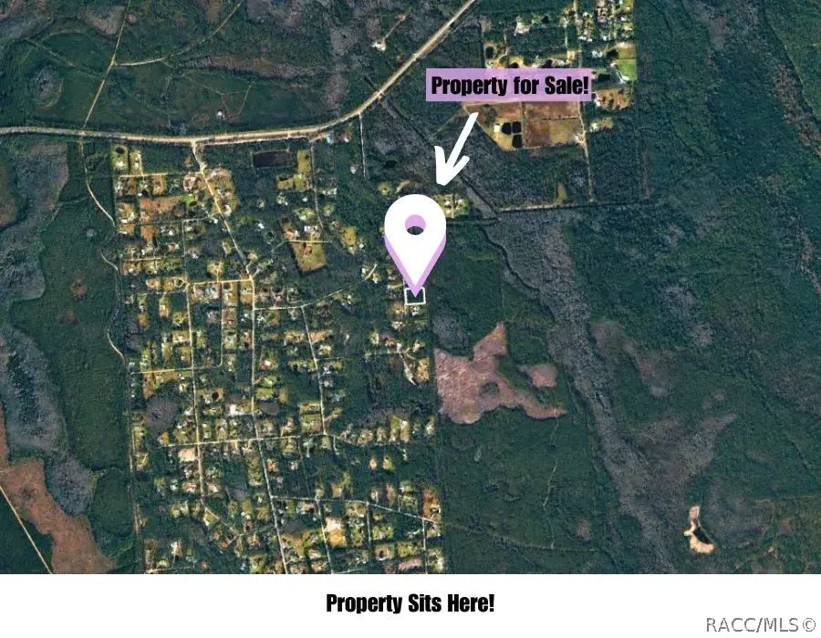 220 Conifer Lane, Ormond Beach, FL 32174 - #2