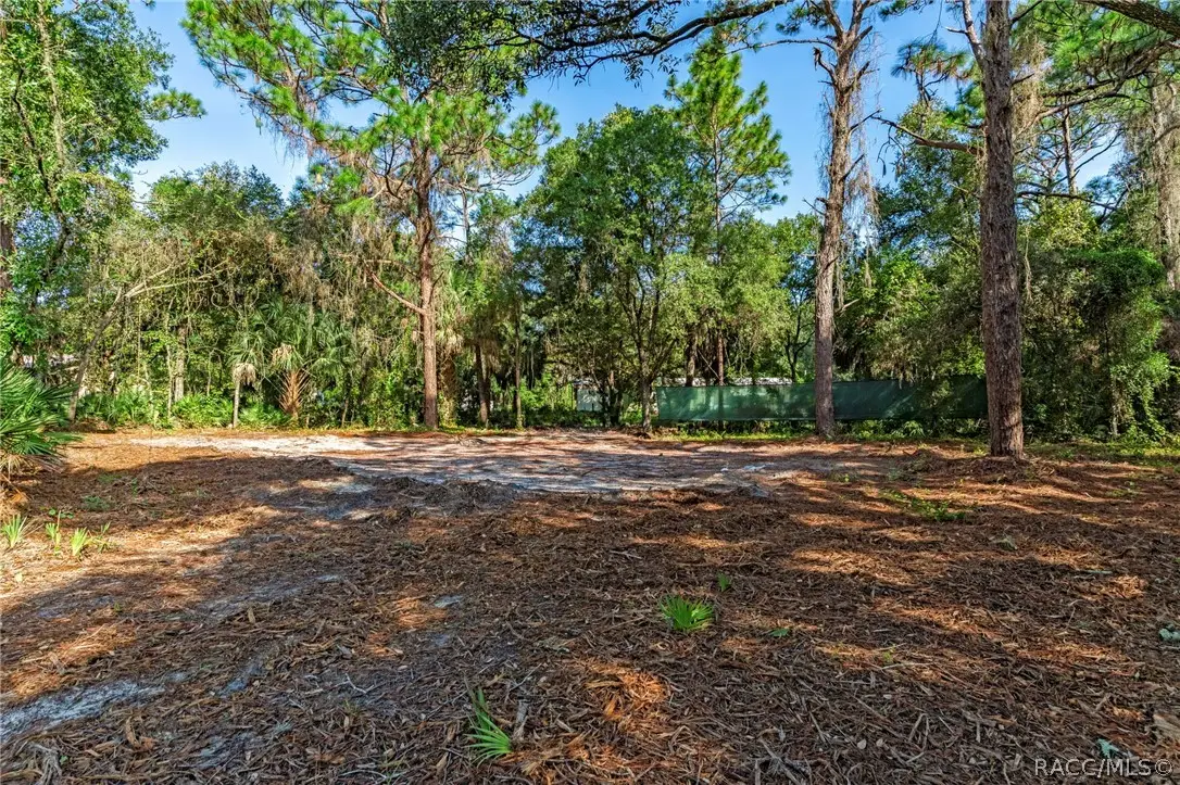 8181 W Tracy Court, Homosassa, FL 34448 - #1