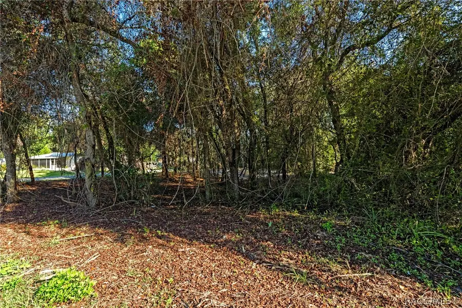 8181 W Tracy Court, Homosassa, FL 34448 - #2