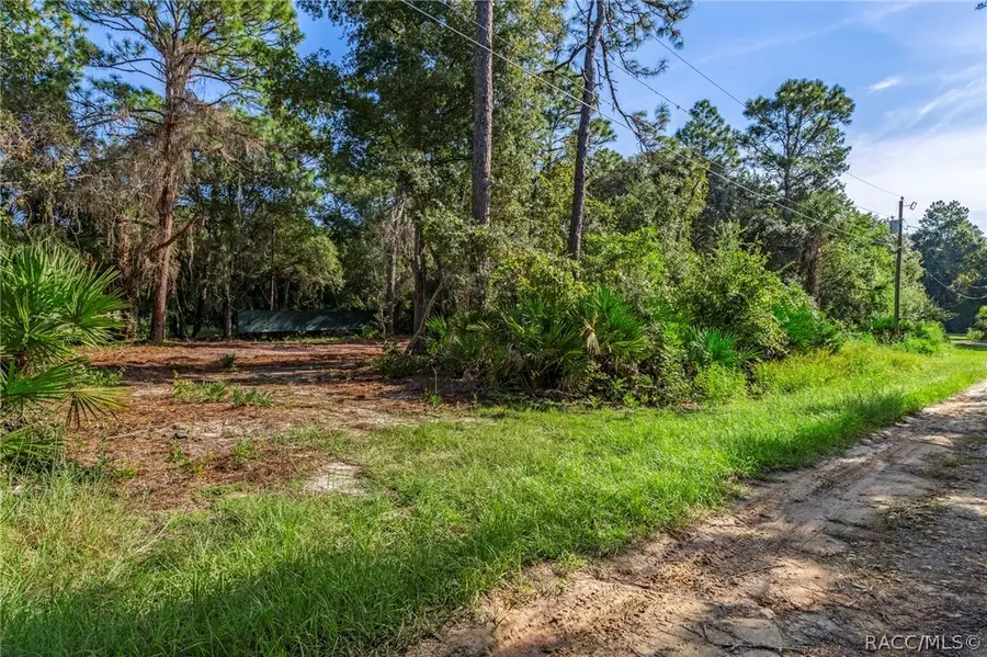 8181 W Tracy Court, Homosassa, FL 34448 - #3