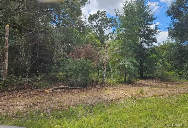 34030 Long Circle, Webster, FL 33597
