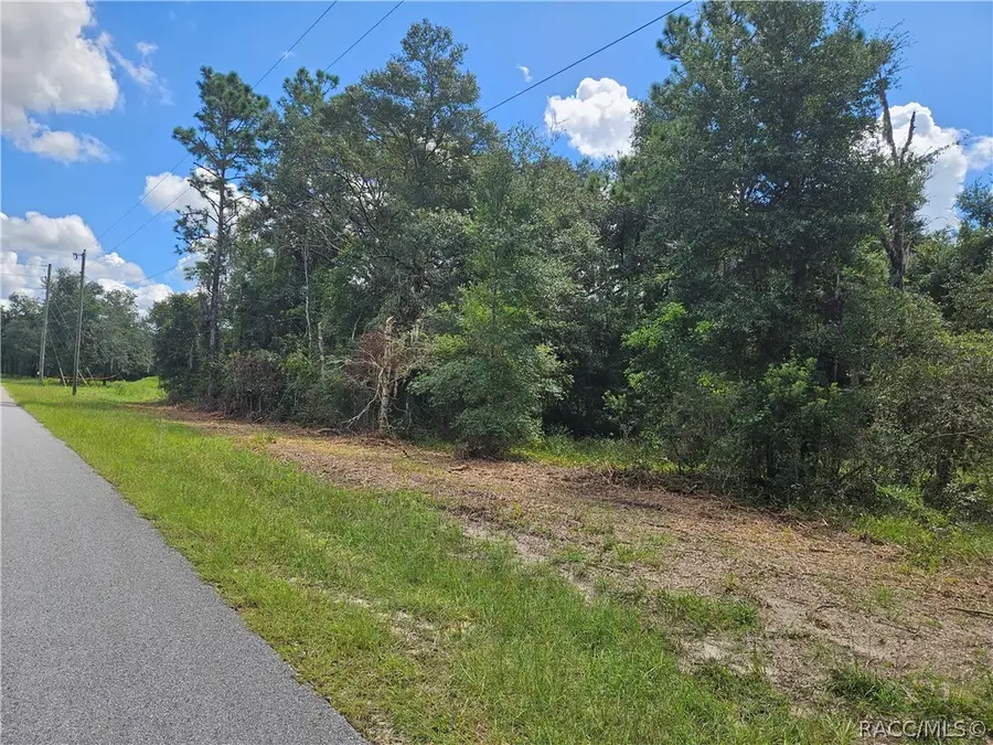 34030 Long Circle, Webster, FL 33597 - #2
