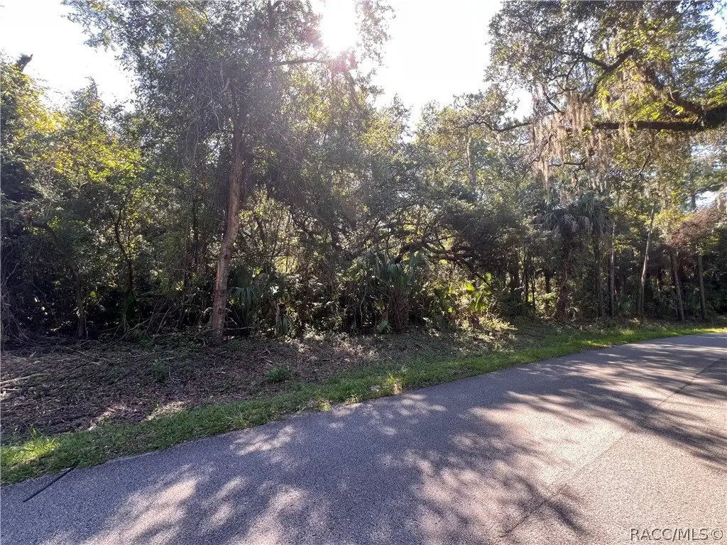7923 N Bitteroot Drive, Crystal River, FL 34428 - #1