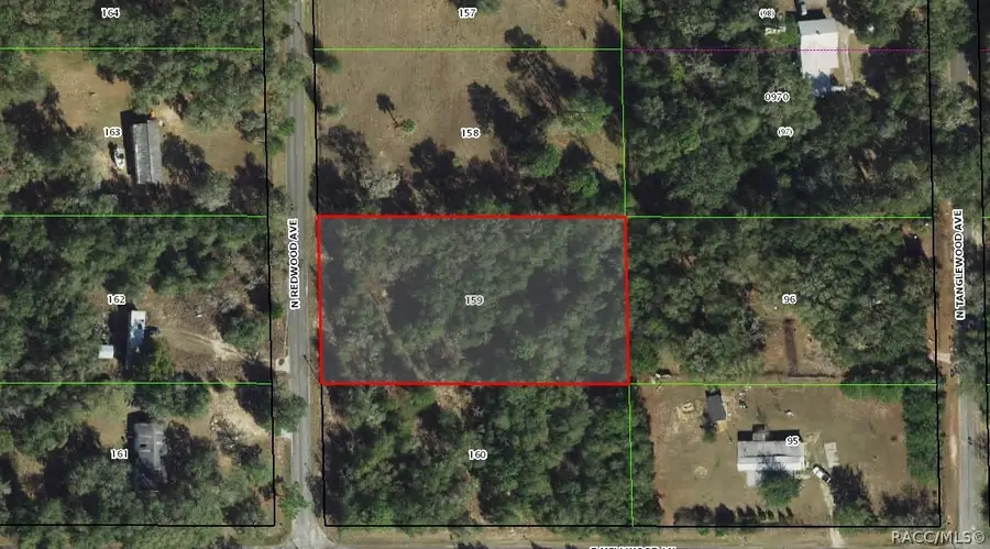 4811 N Redwood Avenue, Hernando, FL 34442 - #2