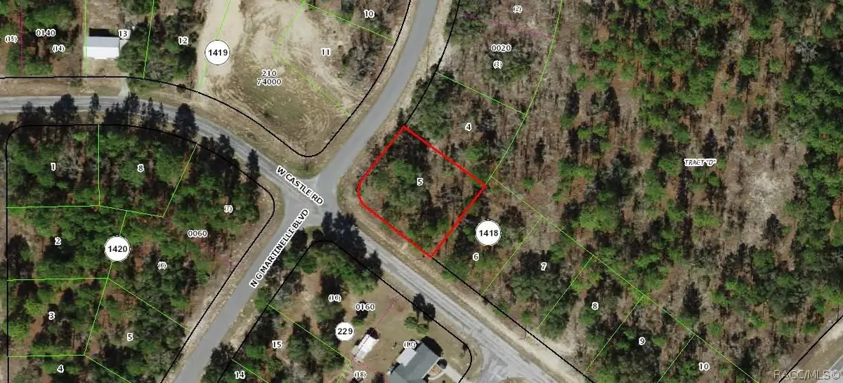 10429 N G Martinelli Boulevard, Citrus Springs, FL 34433 - #1