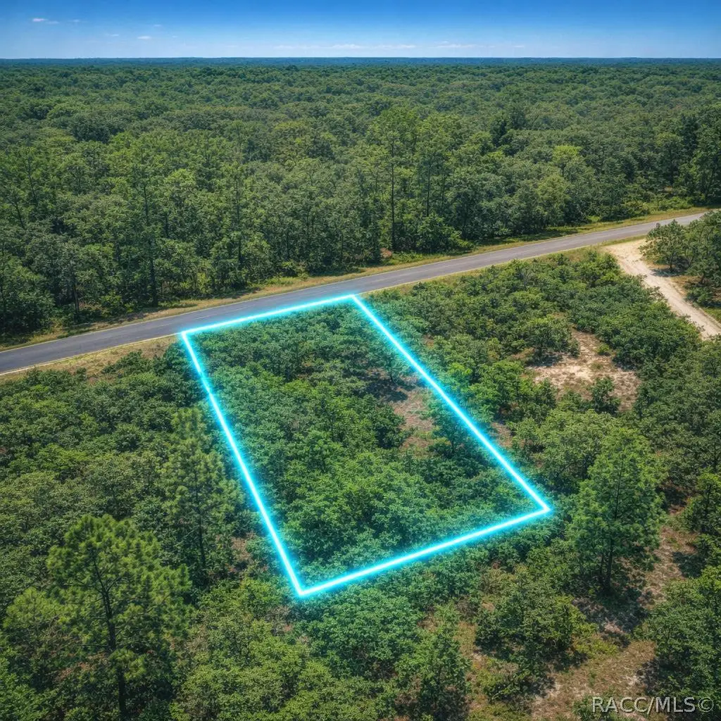 0 SE 133rd Ave Rainbow Lakes Est Avenue, Dunnellon, FL 34431 - #1