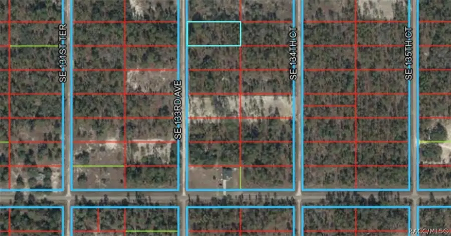 0 SE 133rd Ave Rainbow Lakes Est Avenue, Dunnellon, FL 34431 - #2