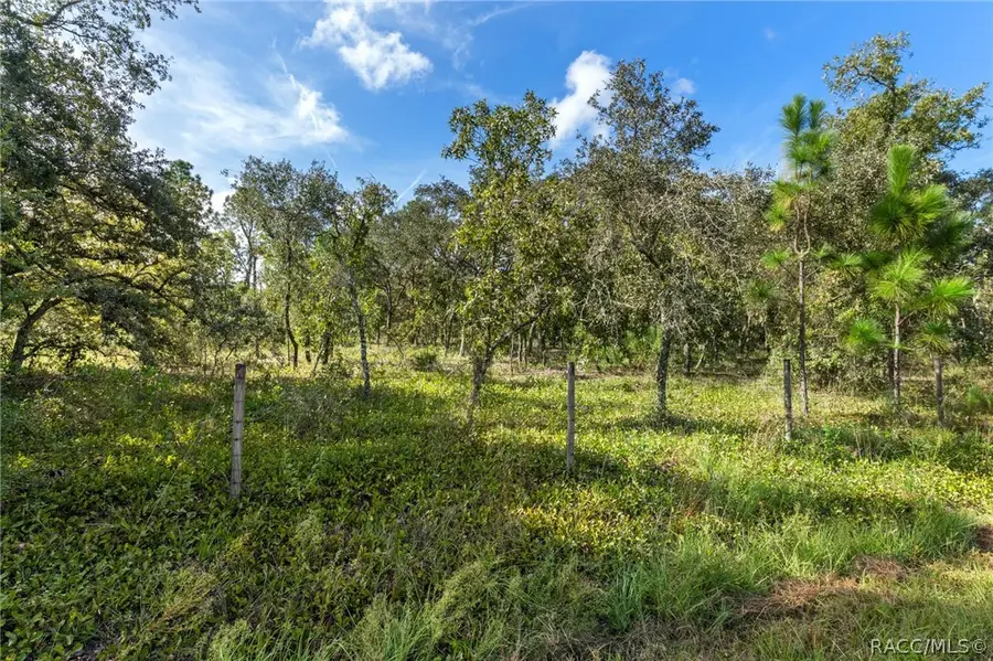 4274 W Field Street, Homosassa, FL 34446 - #3