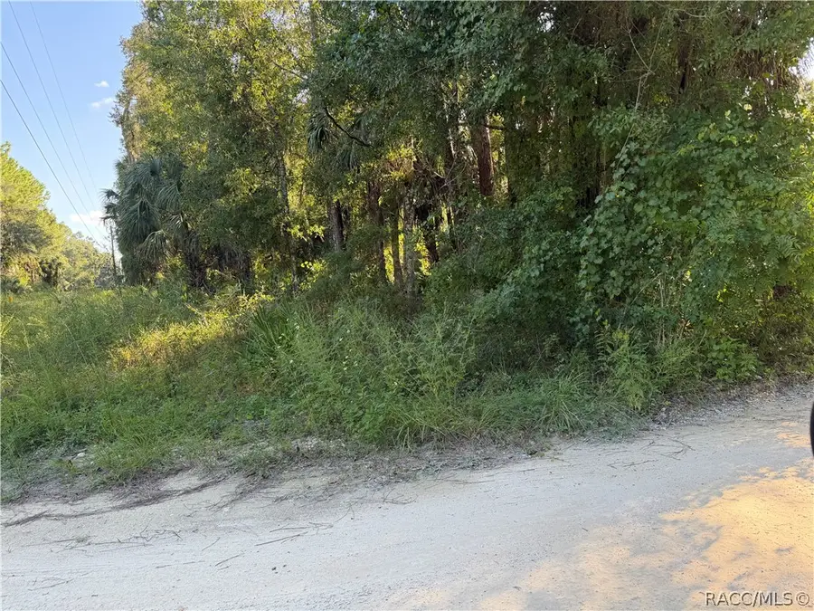 0 Corner Of Debra And Shearer, Inglis, FL 34449 - #2