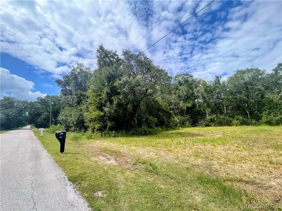 3317 E Griffin Street, Inverness, FL 34453 - #2