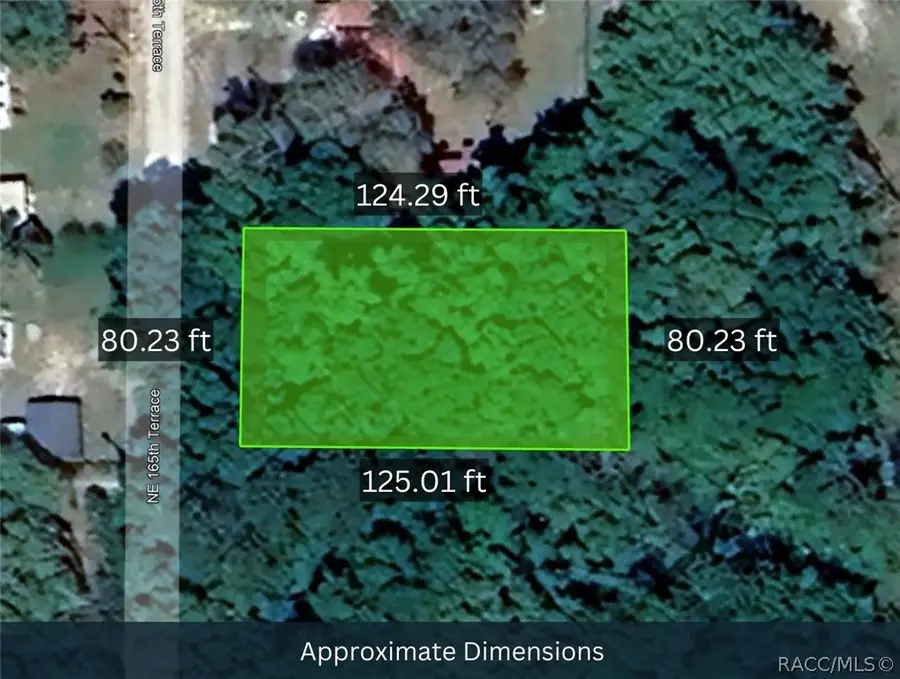 0 165th Street, Silver Springs, FL 34488 - #2