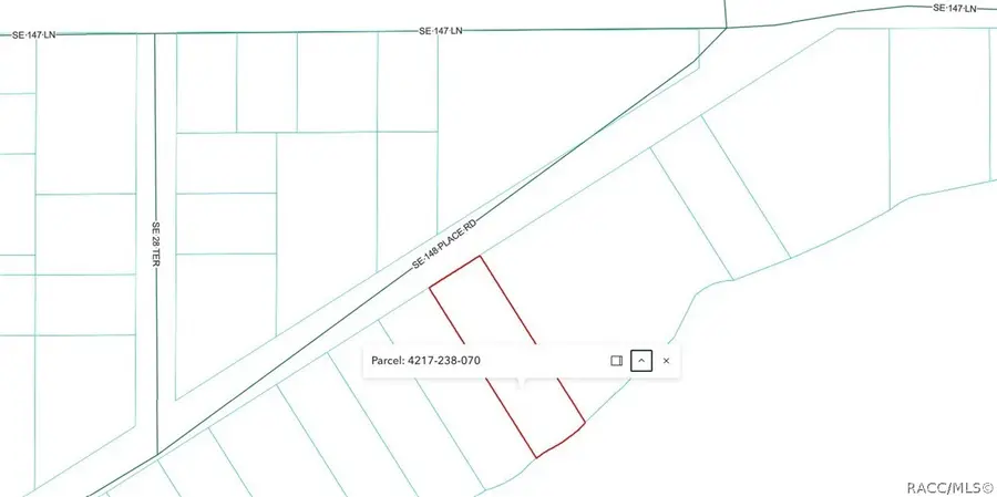 4217-238-070 SE 148th Place, Summerfield, FL 34491 - #2