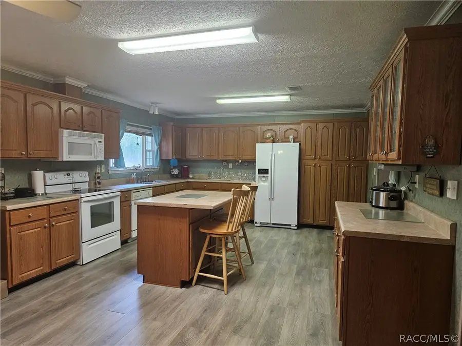 2905 N Turkey Oak Drive, Crystal River, FL 34428 - #2