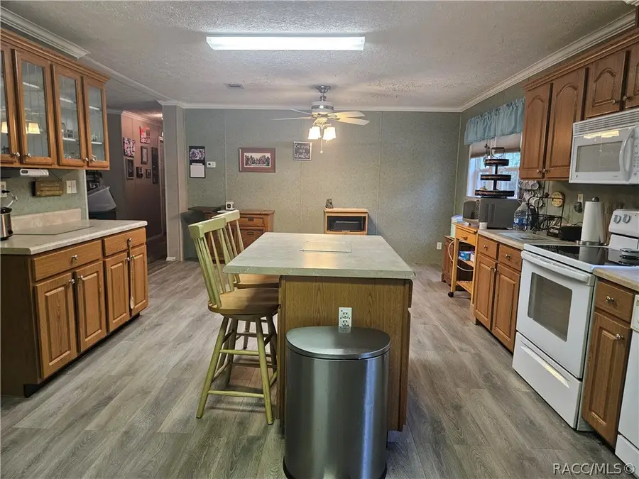 2905 N Turkey Oak Drive, Crystal River, FL 34428 - #3