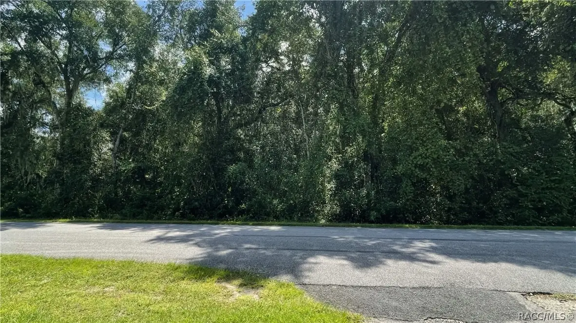 11682 E Hawk Lane, Floral City, FL 34436 - #1