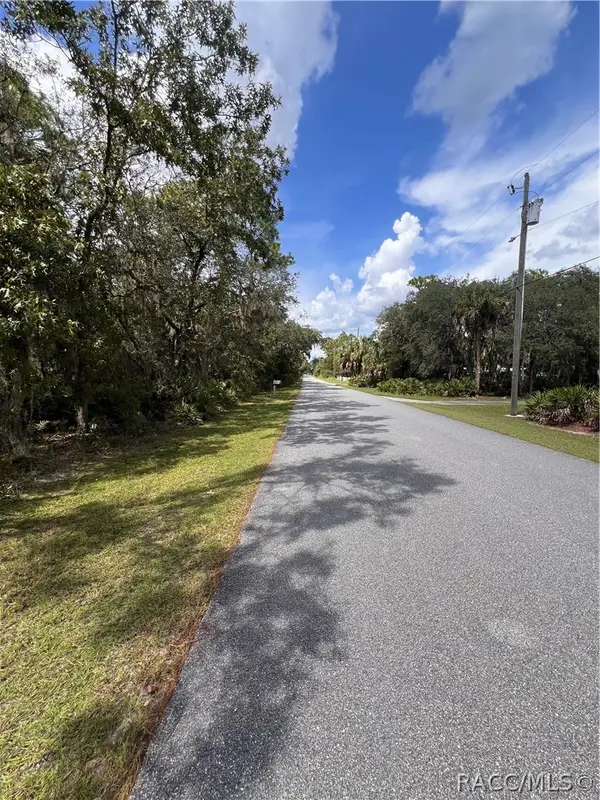 1318 S Palm Avenue, Homosassa, FL 34448