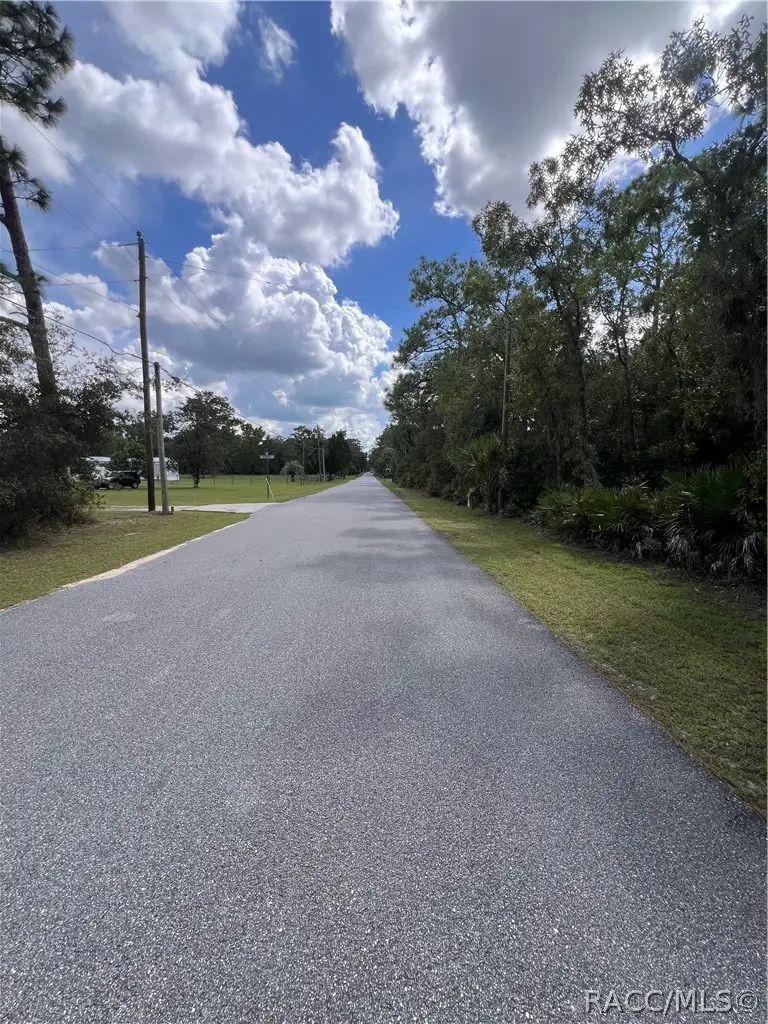 1318 S Palm Avenue, Homosassa, FL 34448 - #2