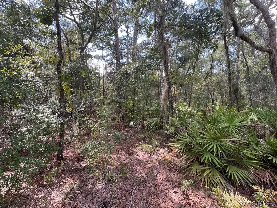 1318 S Palm Avenue, Homosassa, FL 34448 - #3