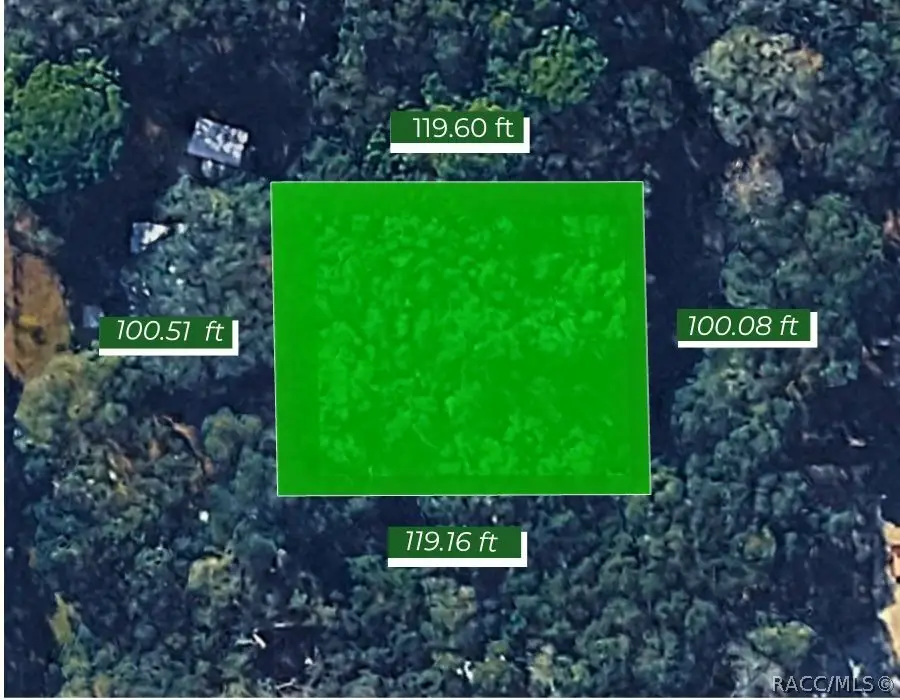 2449 S Creason Terrace, Inverness, FL 34452 - #3