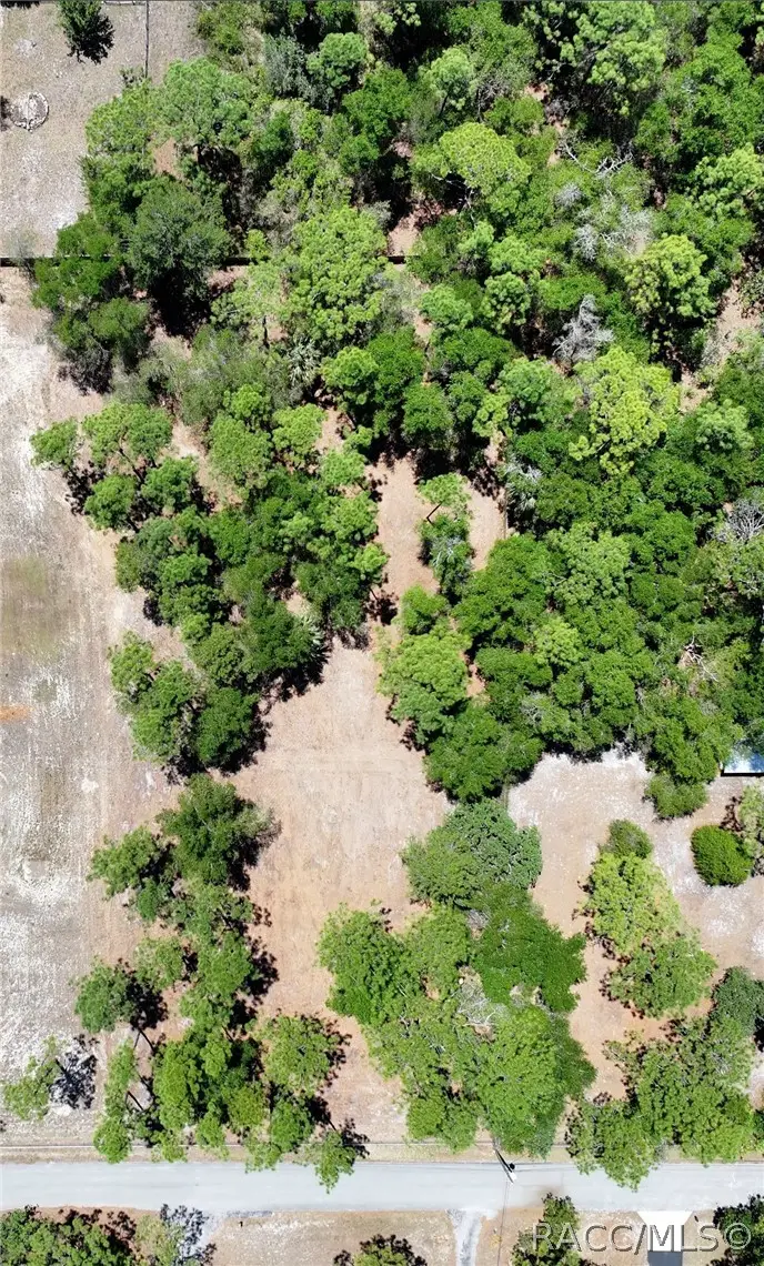 9928 W Pinespring Court, Crystal River, FL 34428 - #2
