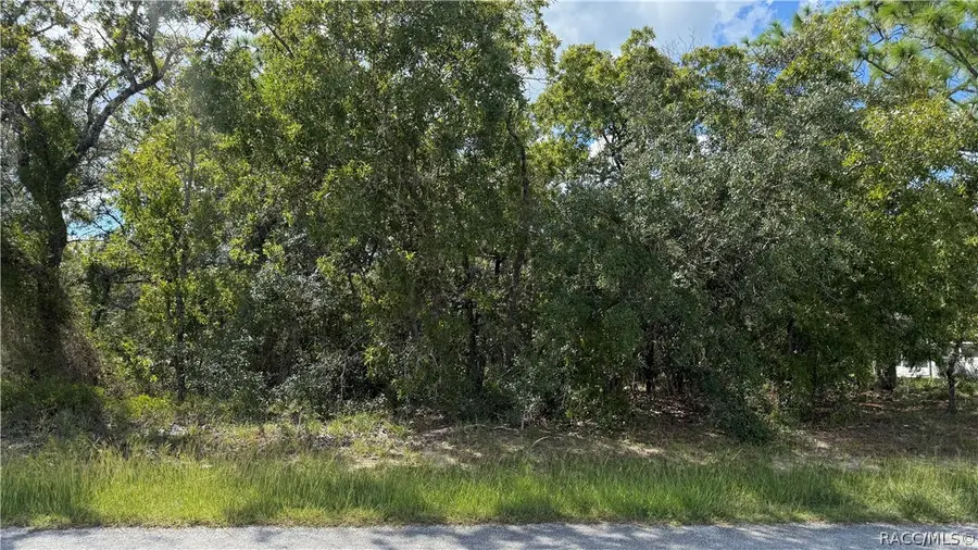 41 Lupine Street, Homosassa, FL 34446 - #2