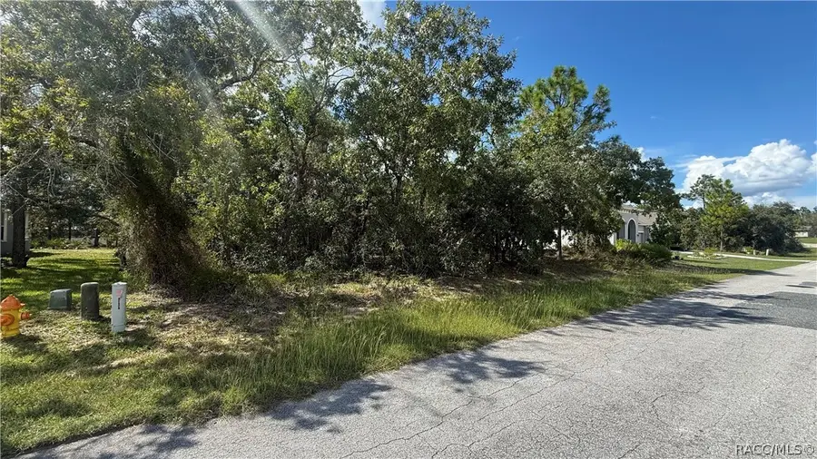 41 Lupine Street, Homosassa, FL 34446 - #3