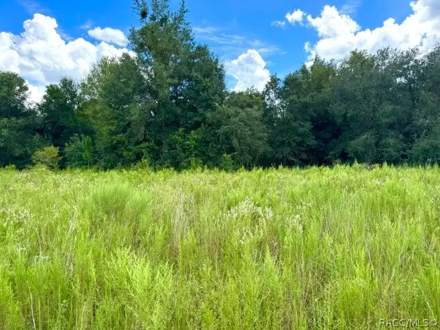 2311 Jackson Street, Inverness, FL 34453 - #2