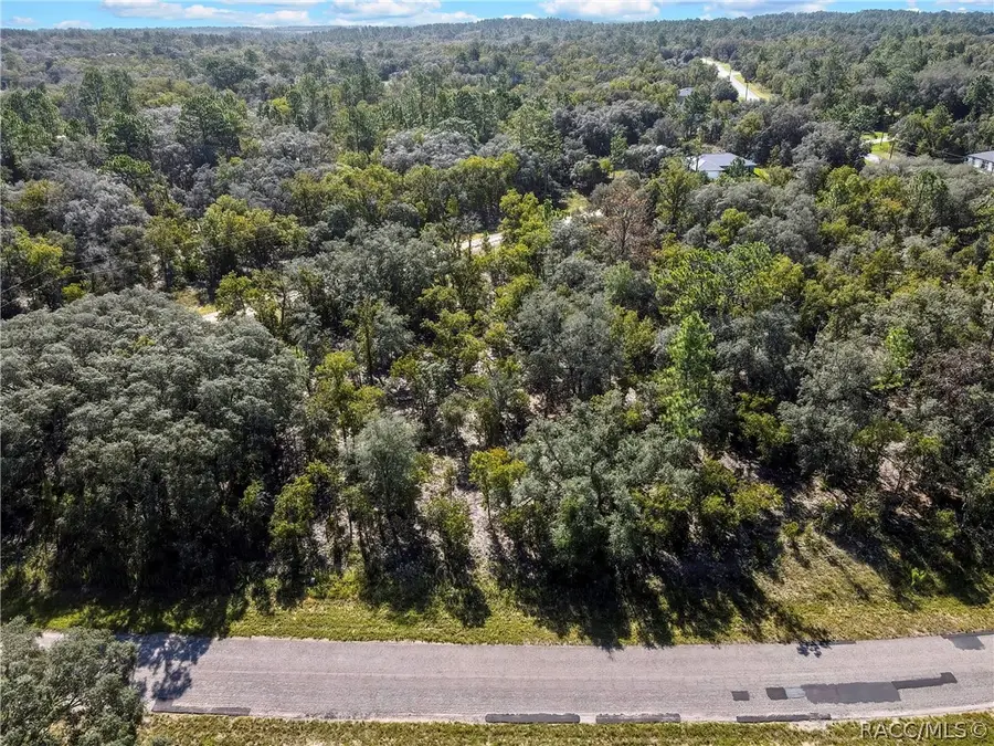 6395 N Compass Way, Citrus Springs, FL 34434 - #2