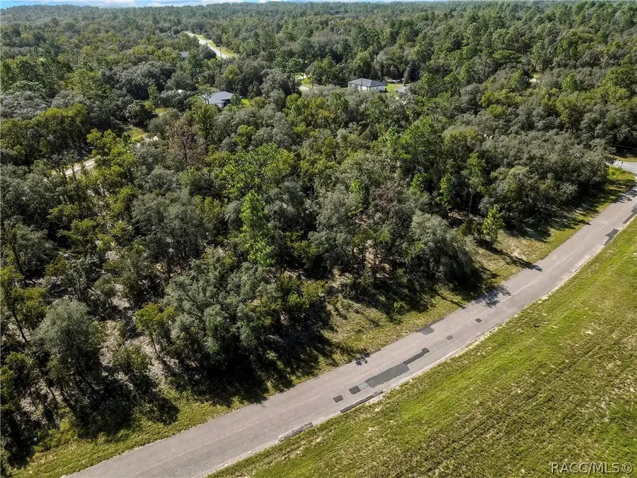 6395 N Compass Way, Citrus Springs, FL 34434 - #3