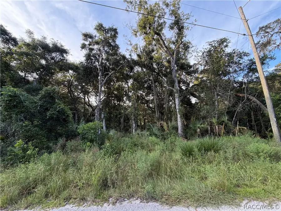 7060 E Gunn Court, Inverness, FL 34450 - #2