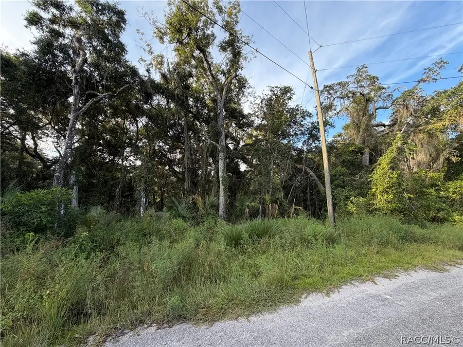 7060 E Gunn Court, Inverness, FL 34450 - #3