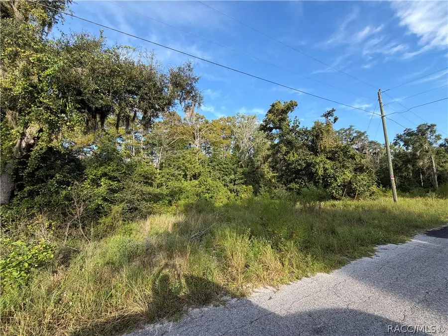 7040 E Gunn Court, Inverness, FL 34450 - #3