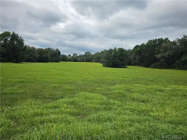 2956 N Anthony Avenue, Hernando, FL 34442