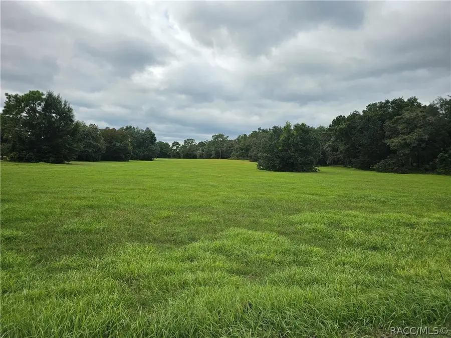 2956 N Anthony Avenue, Hernando, FL 34442 - #2