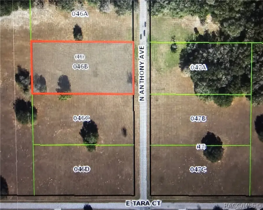 2956 N Anthony Avenue, Hernando, FL 34442 - #3
