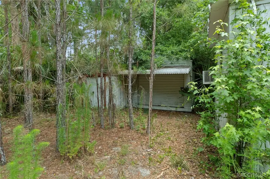 8479 W Doe Lane, Homosassa, FL 34448 - #3