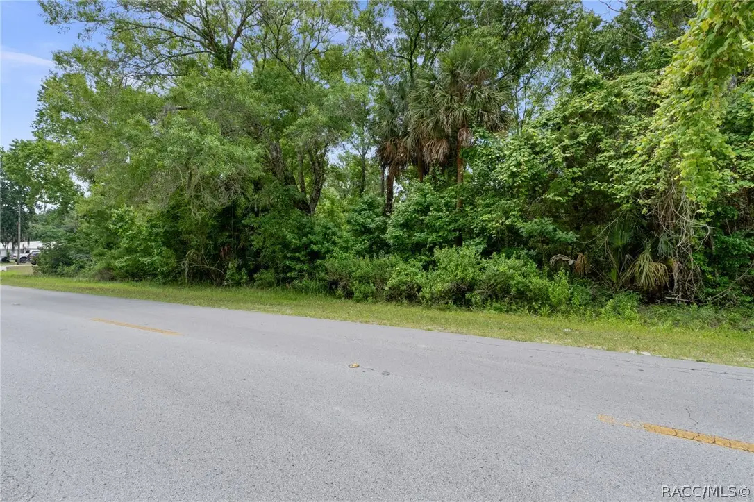 8470 W Bradshaw Street, Homosassa, FL 34448 - #1