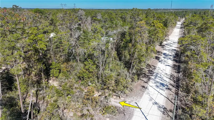 6646 N Percale Terrace, Dunnellon, FL 34433 - #3