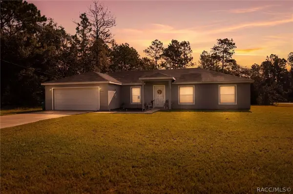 8009 N Primrose Drive, Citrus Springs, FL 34434